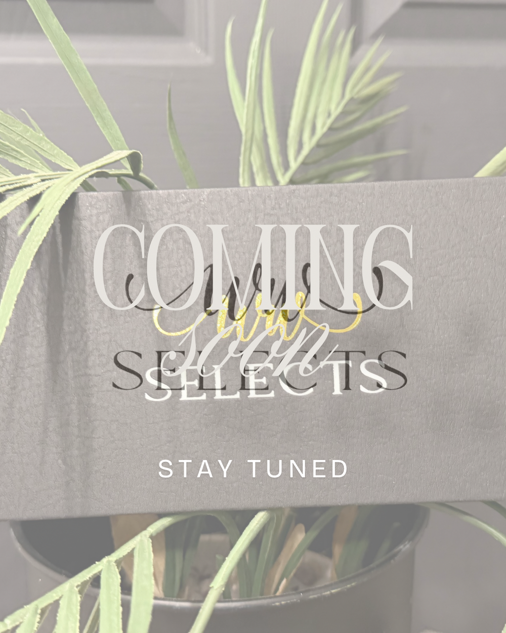 Cherry Bow Ruffle Sheer Crew Sock