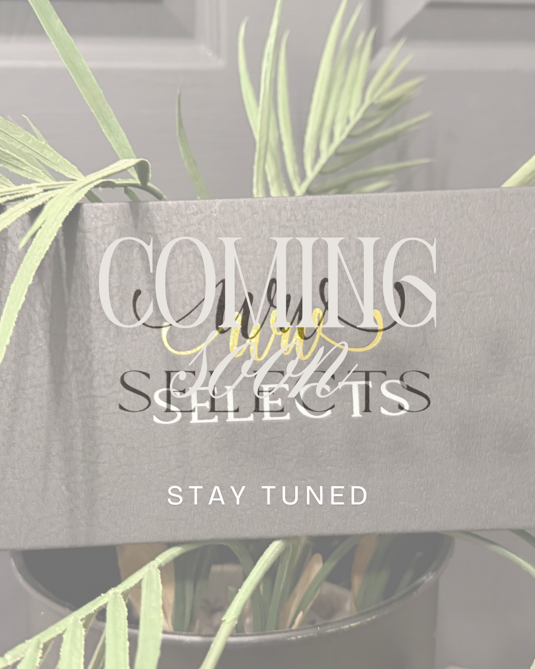 Skulls & Roses Black Sheer Crew Socks