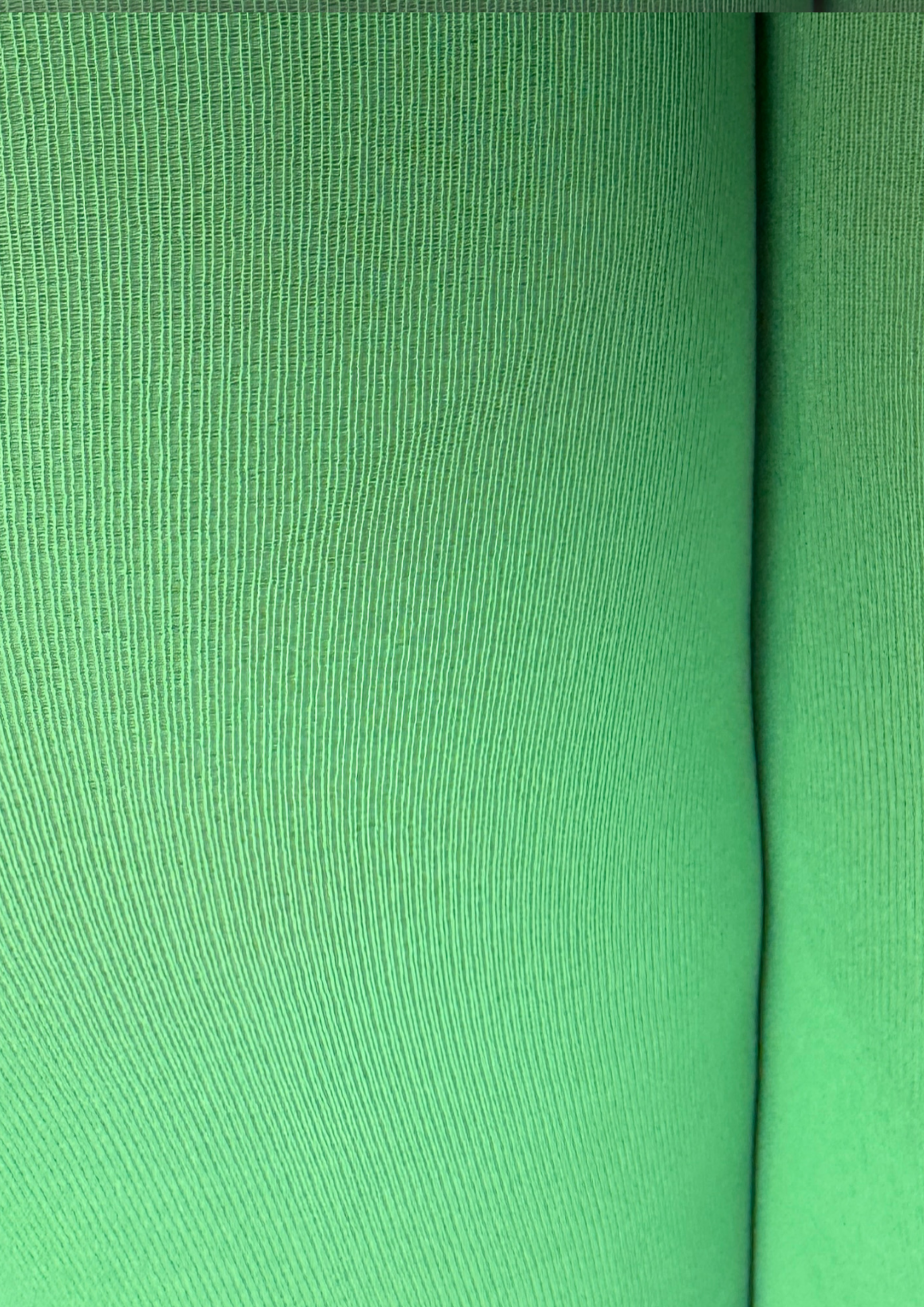 Wander Ease 70 in Lime Passport