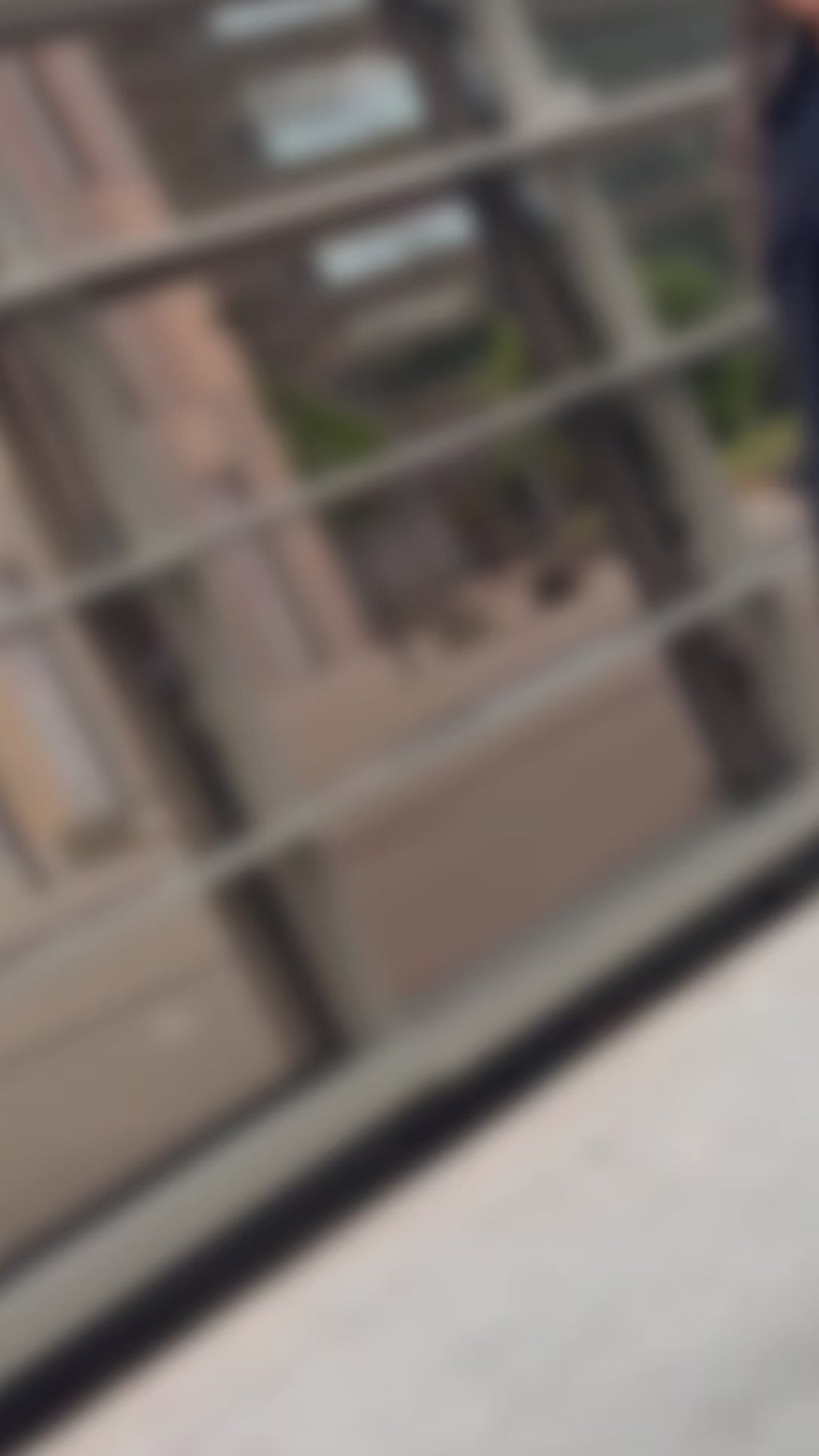 Floral Veil | Fashion Tights in Midnight Bloom